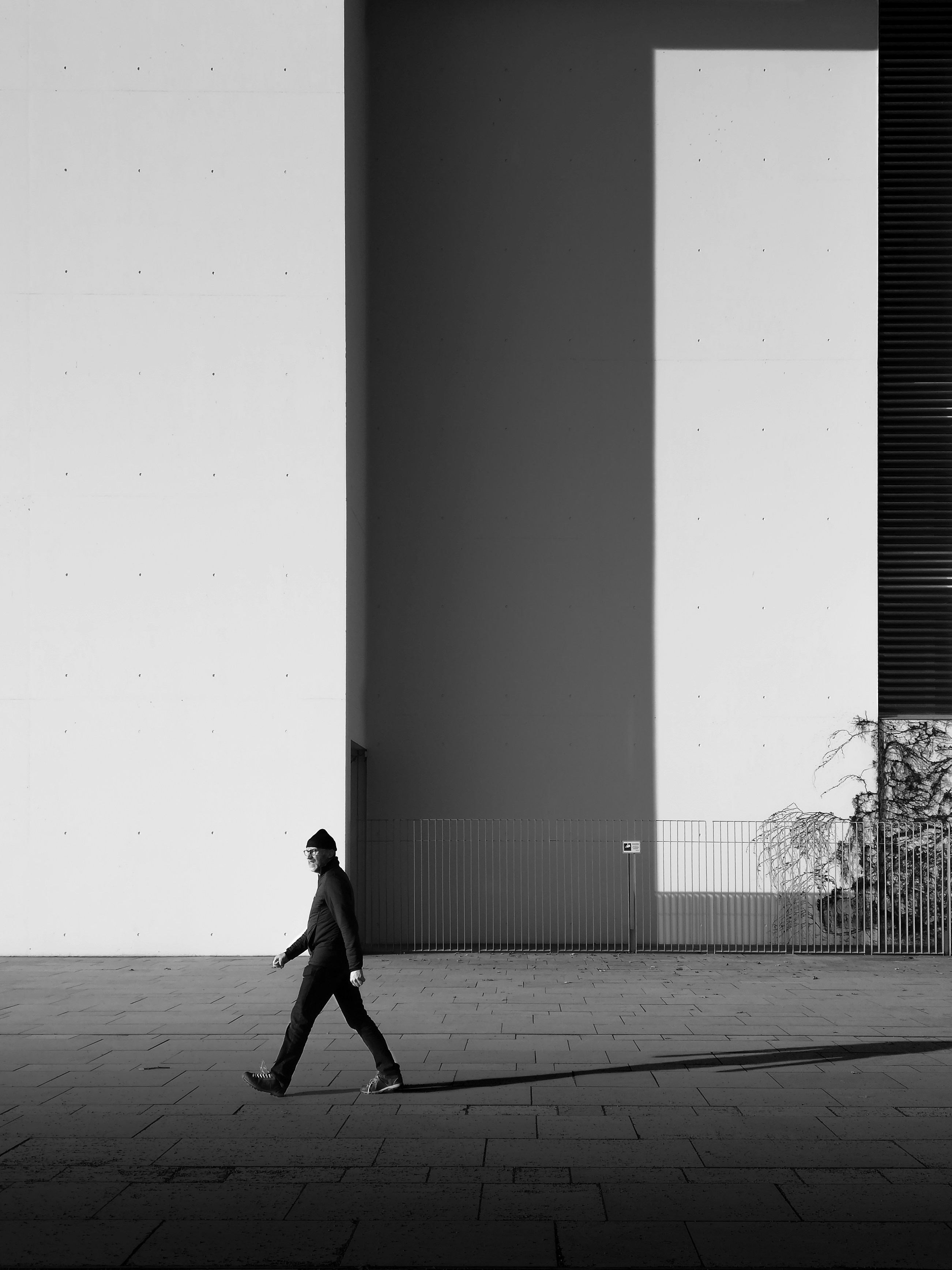 歩くことのちから